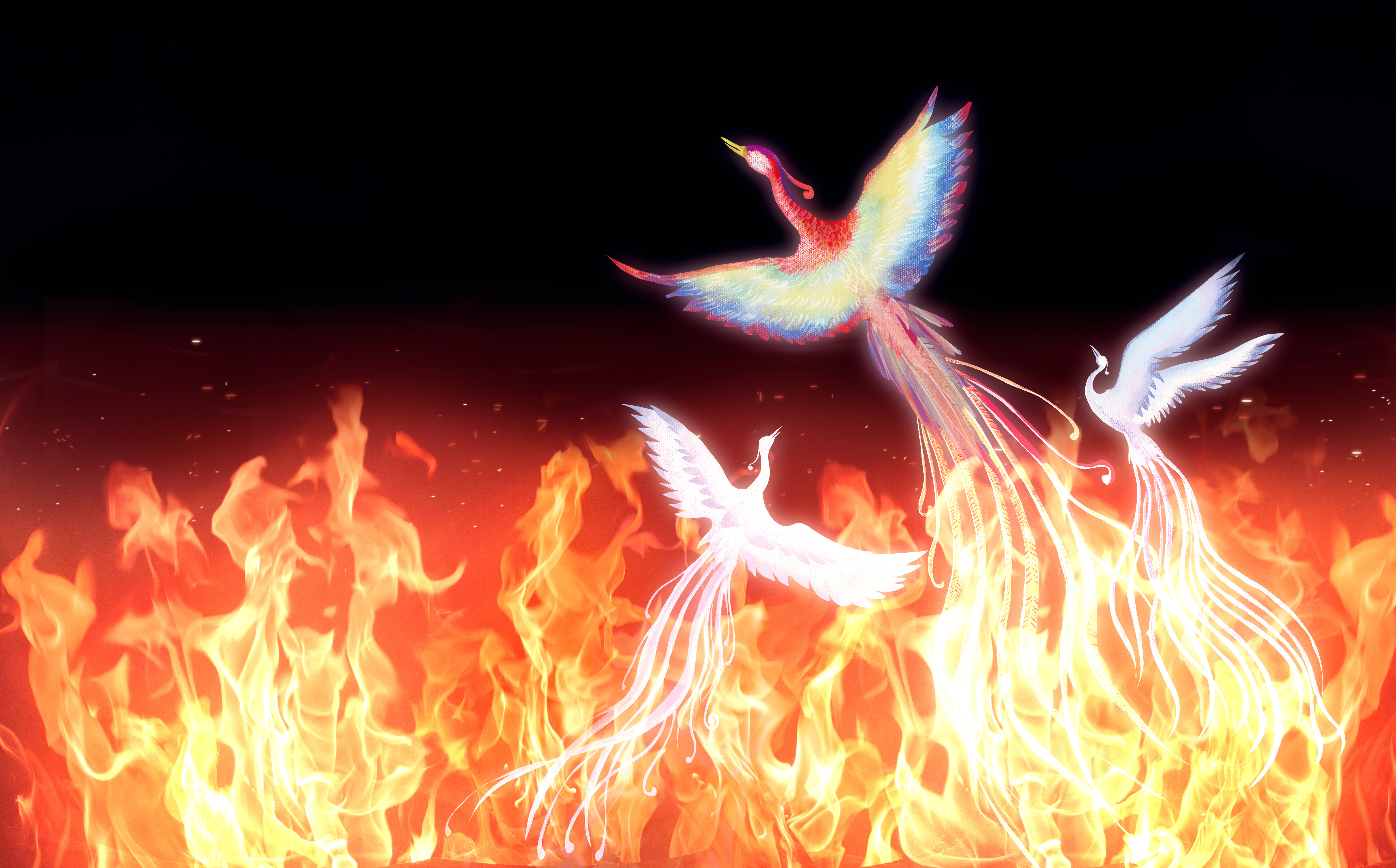 凰粗344999.c考m,最新资源下载,获取完整版资料,限时免费领取