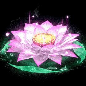 蓝月亮官方正宗资料,惊喜不断,好运连连等你来拿