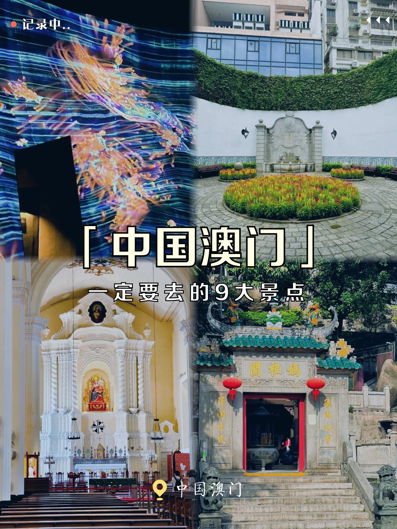 红人馆单双十两肖,探索澳门特色,畅游娱乐新天地