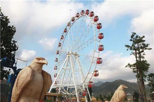 2026图库资料大全最,好运连连赢大奖,欢乐不断享优惠