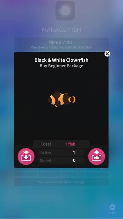 宝莲灯一肖一码com91442,探索背后真相,解锁隐藏玩法