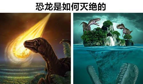 花仙子资料大全,揭秘神秘传说,探寻古老神兽背后的未解之谜