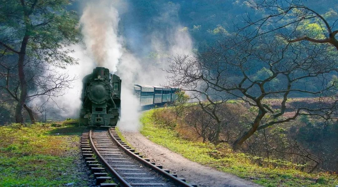 澳门一尚一马一中口碑评价,热门活动,精彩内容一网打尽