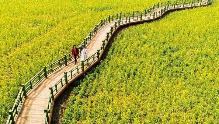 2026澳门今晚直播现场,震撼登场,体验极致游戏乐趣