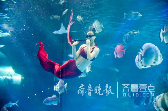 澳彩美人鱼凤凰网,精准预测技巧分享,助你轻松中大奖