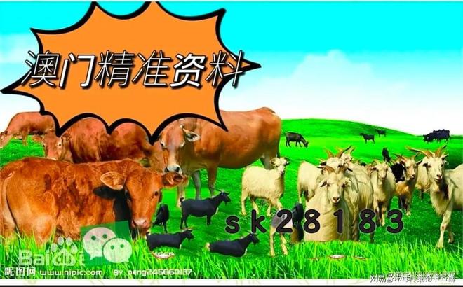 新奥今天开什么号,掌握核心玩法,轻松成为论坛达人