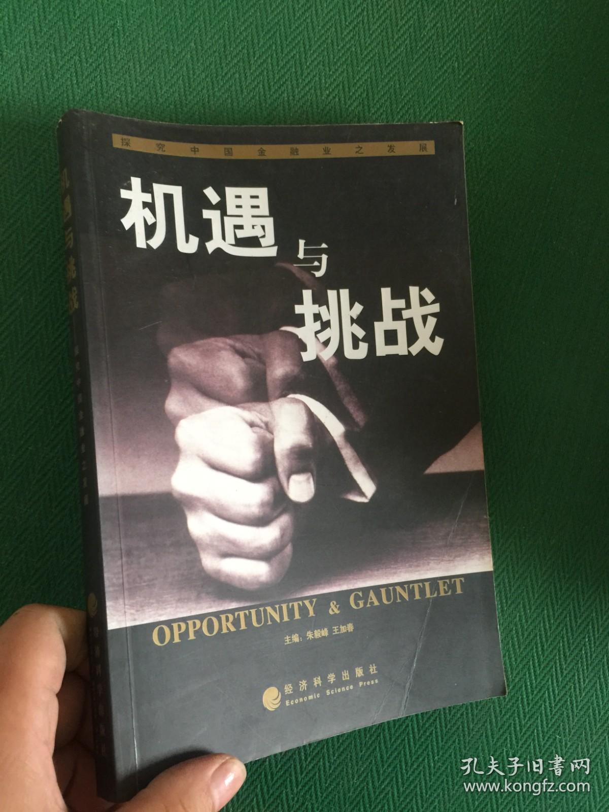 奥门雷锋精神论坛入口,探索未来趋势,揭秘发展机遇与挑战