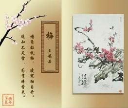 澳门梅花三弄最经典十句话,精准分析今晚开奖号码,助你轻松中大奖