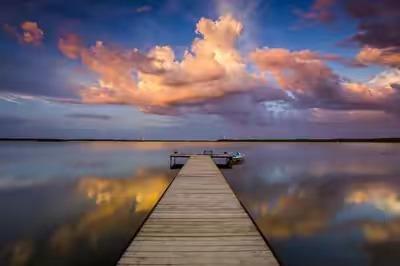 大三巴一肖一码100公交路线,掌握最新技巧,轻松赢取大奖