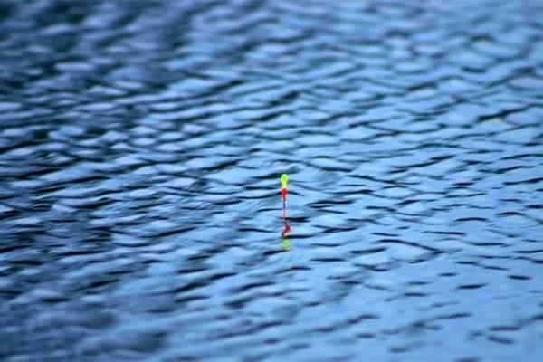 白蛇传全年免费资料,高手分享技巧,赢取大奖攻略