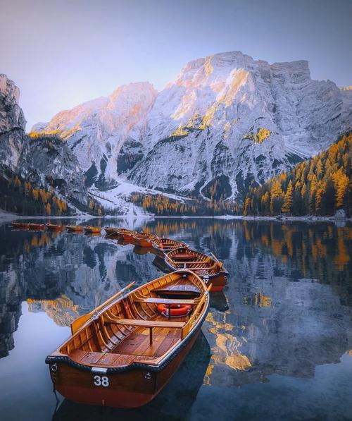 江左梅郎网站,发现独特魅力,感受文化交融之美