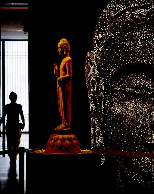 曾道道免费网,探索文化融合,感受独特魅力