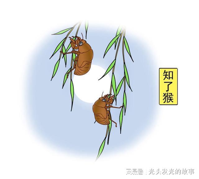 看马资料网站,探寻神秘生物传说,解开四不像称呼之谜