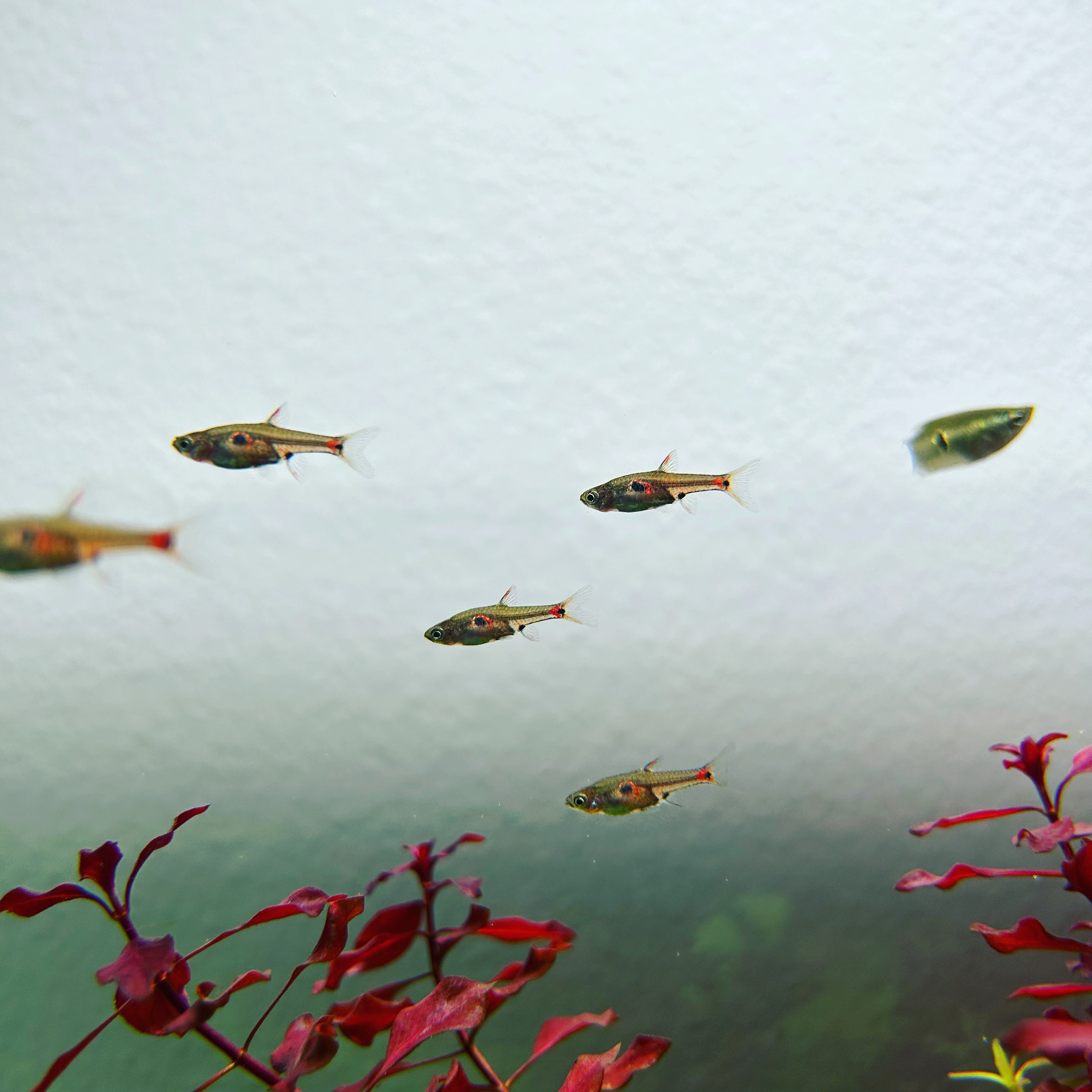 小小鱼版全图今天,掌握独家信息,赢取丰厚奖金