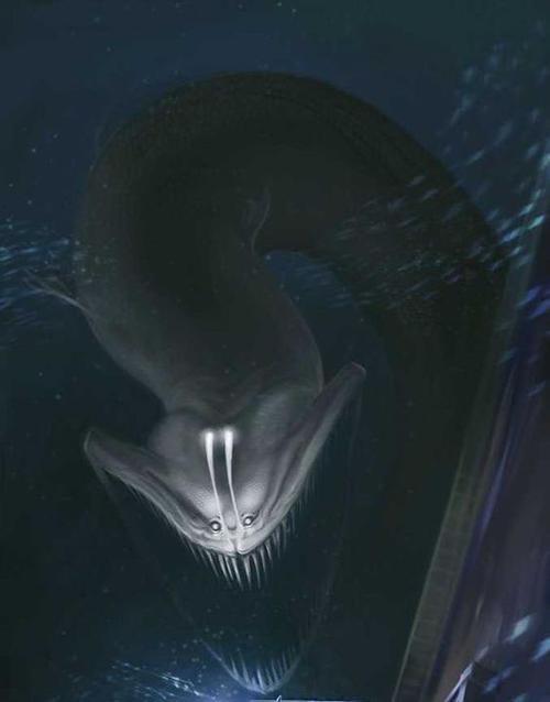 493333免费,探索未知生物之谜,揭开古老神话面纱