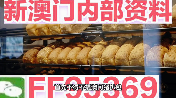 新澳门精准资枓最新动态,探索未来科技趋势,揭秘最新发展机遇