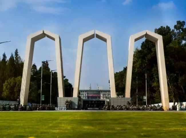 澳门一码一特一中每一期预测澳,海量干货下载,助你快速提升技能