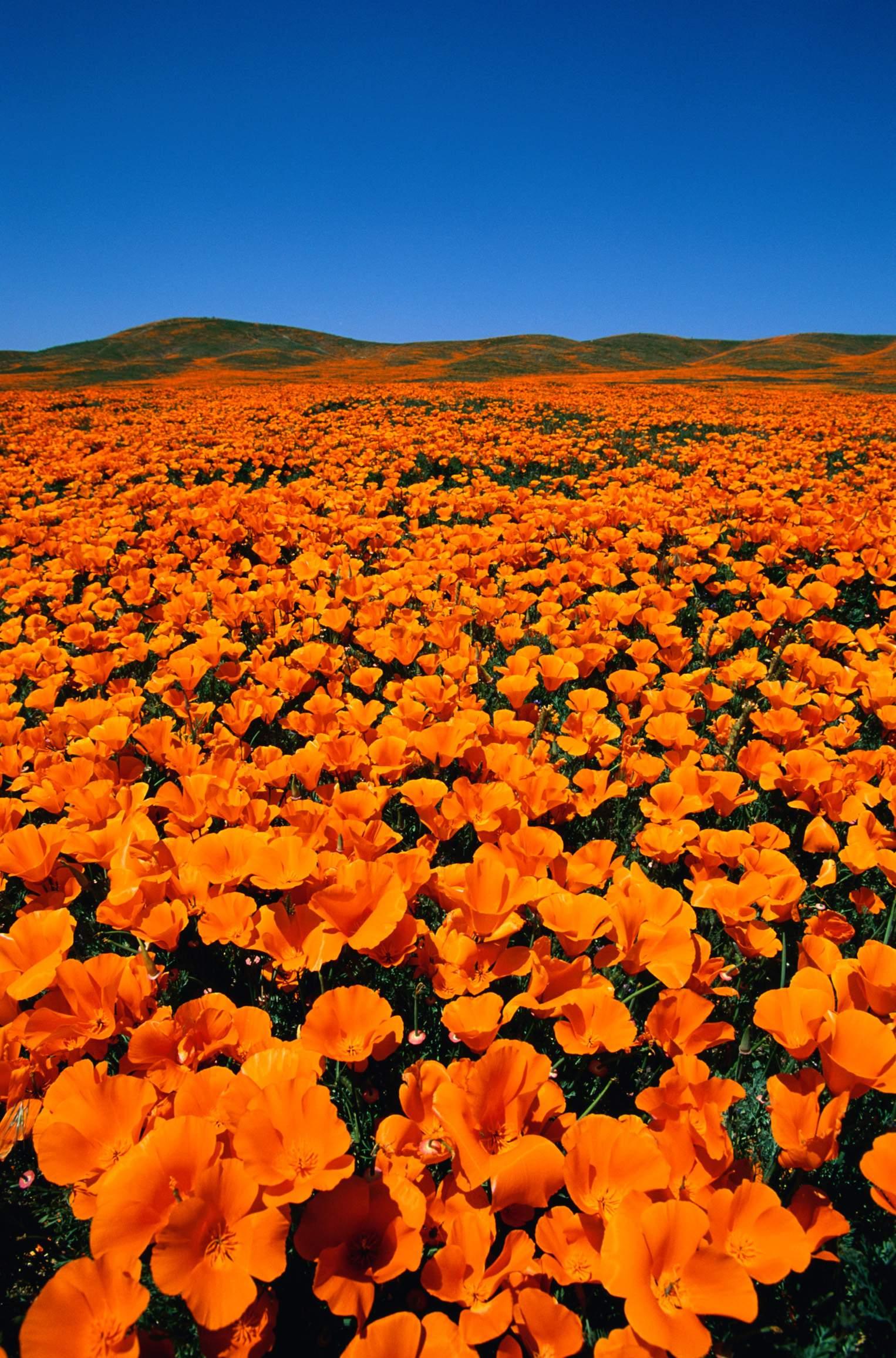 2〇06年大三巴澳门,海量高清图片下载,优质素材一网打尽