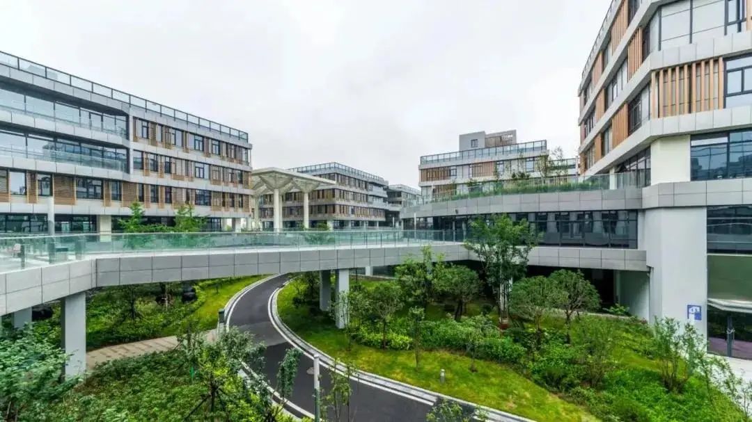 11877凤凰,行业动态受瞩目,投资者密切关注 11877凤凰,行业动态受瞩目,投资者密切关注