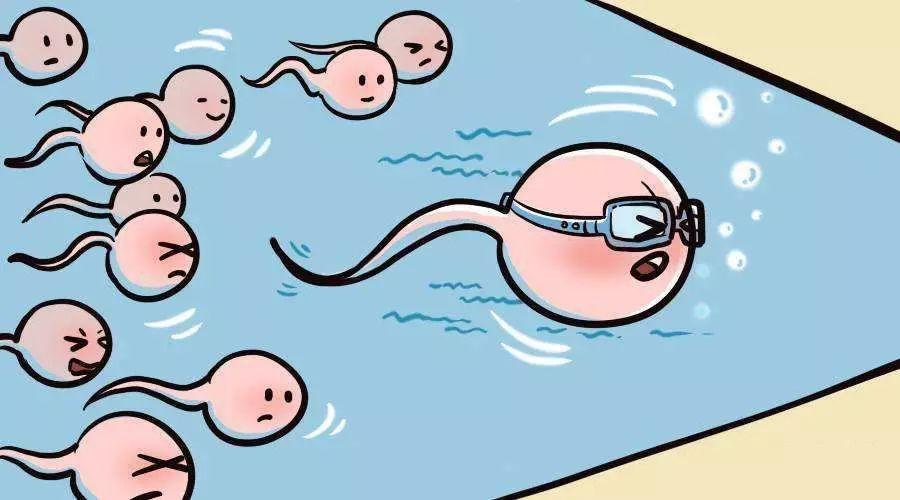 555525王中王心水高手下载,最新中奖号码公布,幸运儿即将诞生