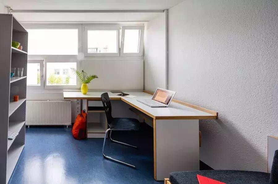 小鱼儿2站玄机2站免费观看,独家技巧分享,助你轻松赢大奖