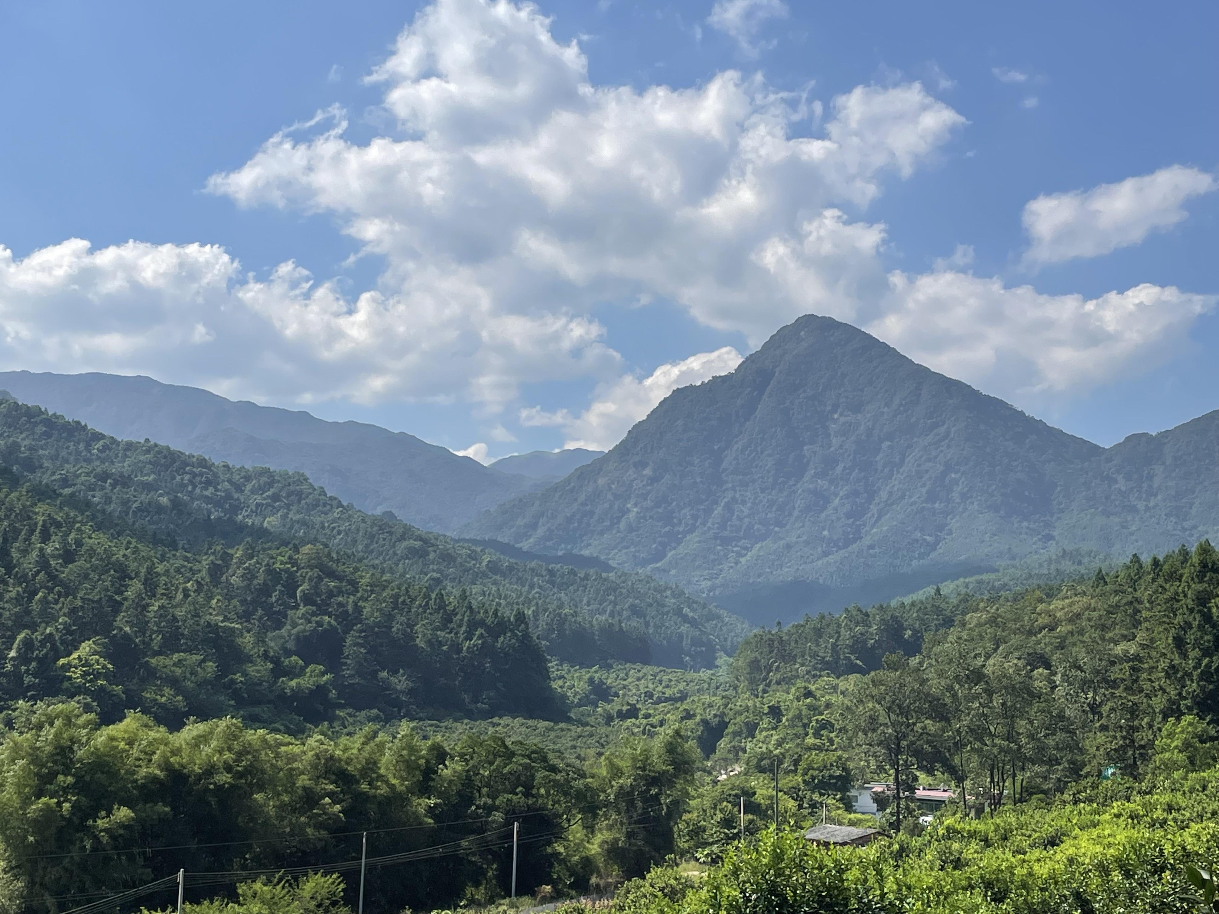 2026年天天免费资料免费百度下载2,探索无限机遇,畅享豪华之旅