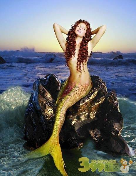 澳彩美人鱼凤凰网,轻松掌握猜谜乐趣,赢取丰富奖励