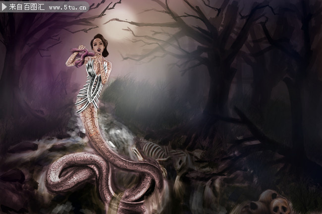 灵蛇的资料免费大全,最新资源一键获取,海量内容任你选