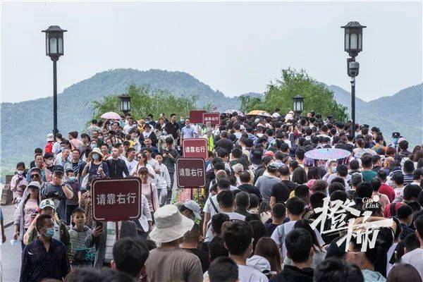 灵蛇网,游客必看,详细解析开放时间与地点