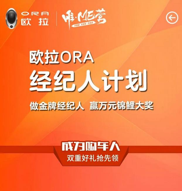 2026年马开奖号码,精准预测好运降临,掌握最新开奖信息,轻松赢取大奖