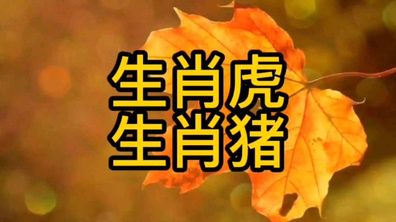 小鱼儿网站主页,财运亨通好运连连,快来查看你的幸运生肖