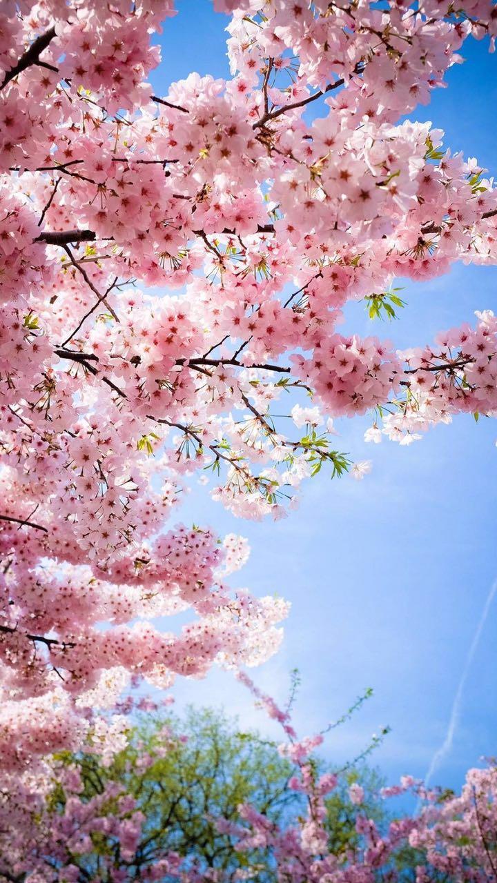 王中王100个经典时装秀,探索多彩世界,畅享欢乐时光