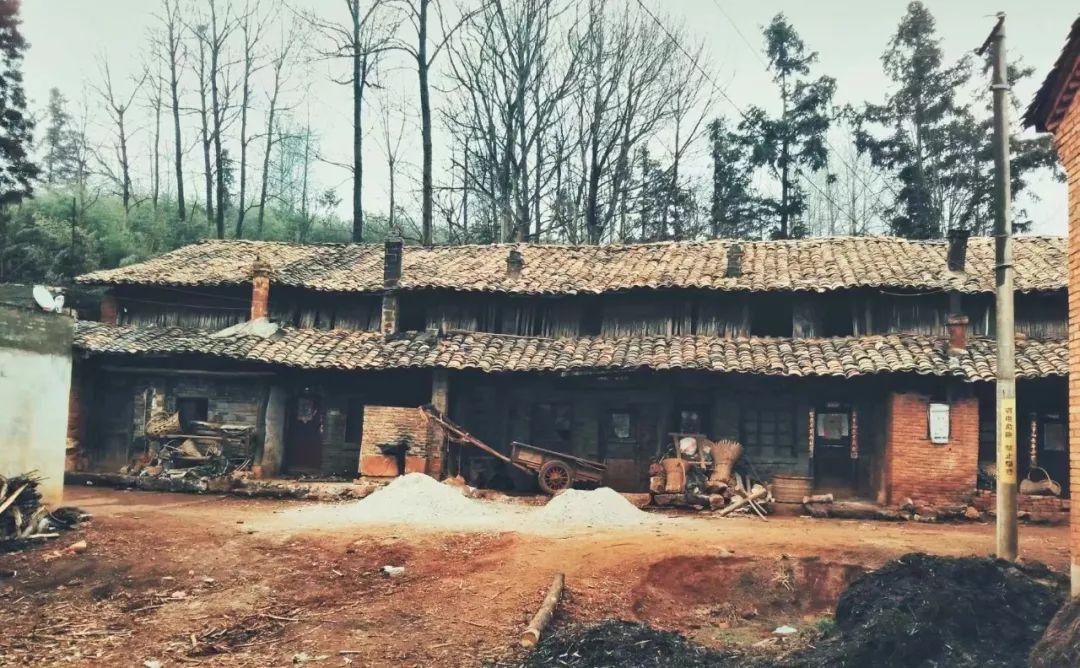 《7777788888新版传真》精准预测,助你轻松掌握彩票走势,赢取大奖