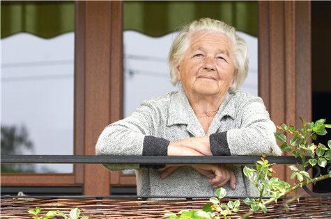 2026正版资料免费领取指南,探索趣味谜语文化,逗乐你的闲暇时光