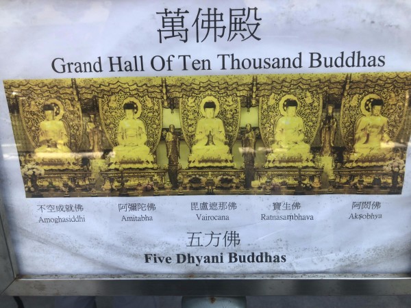 香港四不相图,智能服务升级,打造奢华居家体验