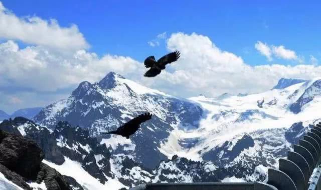 江左梅郎网站,发现独特魅力,感受文化交融之美