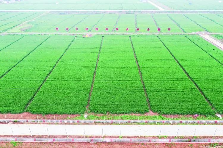 特马王A,探索未来趋势,把握机遇与挑战