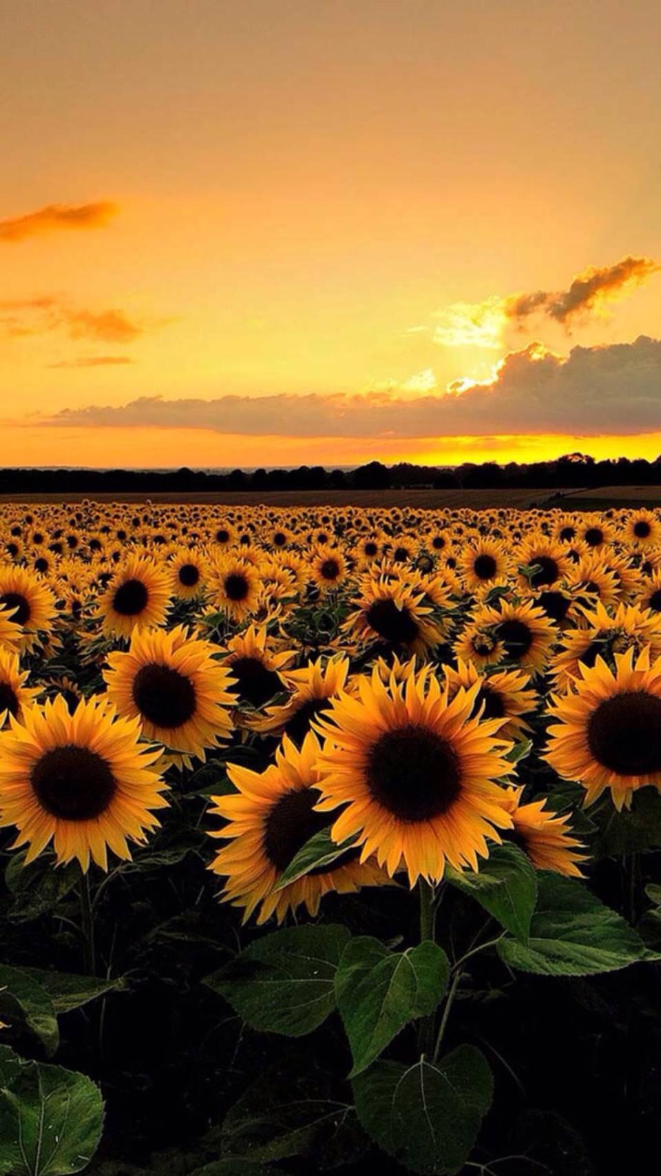 600tk图库最新更新内容链接,重温经典瞬间,探寻历史中奖号码