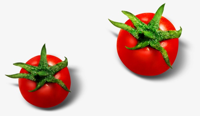 一点红免费资料大全,最新技巧分享,助你轻松掌握赢彩秘诀