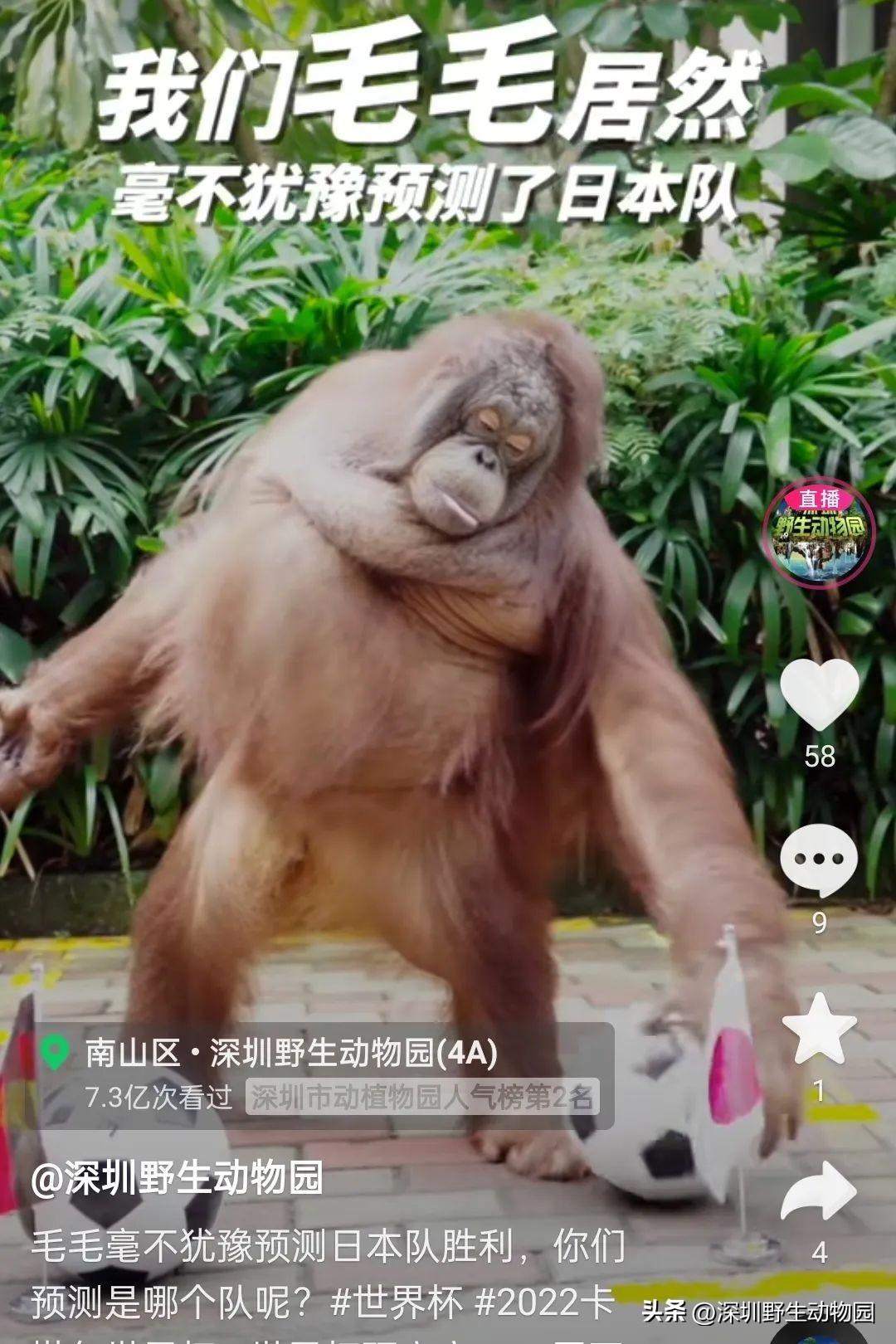 新门内部资料免费提供最新,最新开奖信息,免费预测技巧,中奖秘籍分享 新门内部资料免费提供最新,最新开奖信息,免费预测技巧,中奖秘籍分享