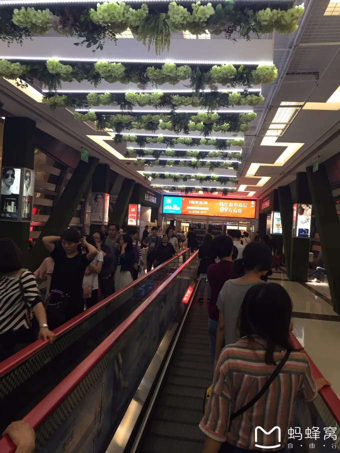 第一站|118,最新结果公布,彩民速看中奖信息