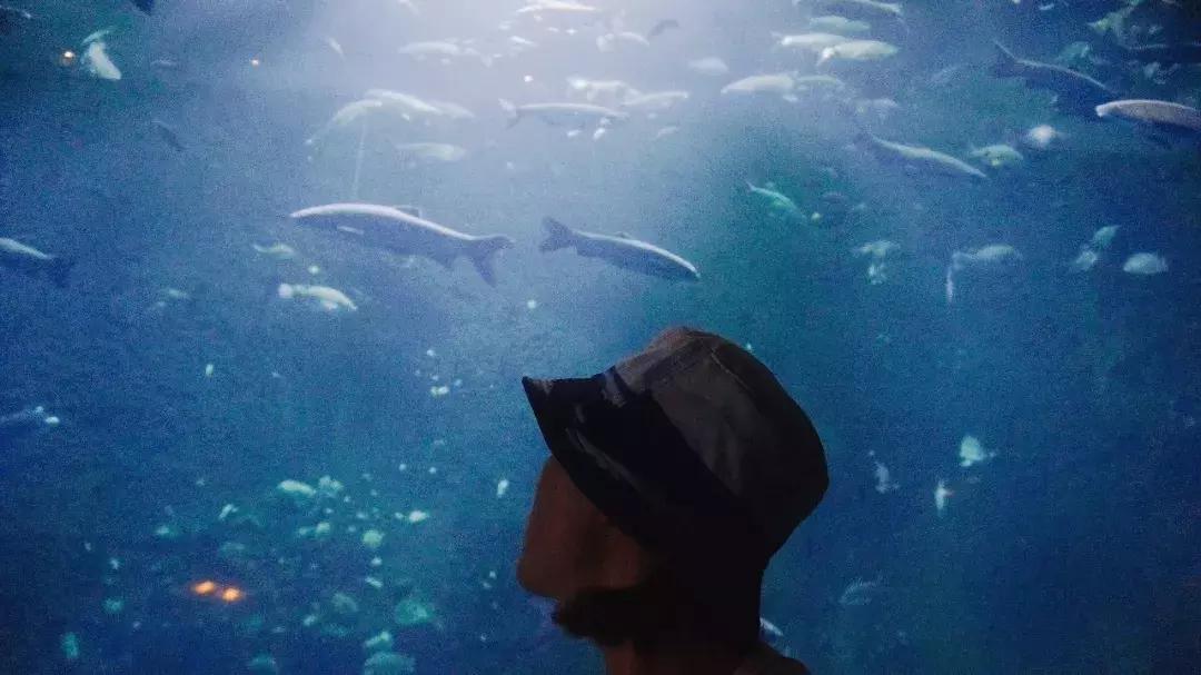 小鱼儿独家免费资料,智能管理更高效,打造未来智慧生活新体验