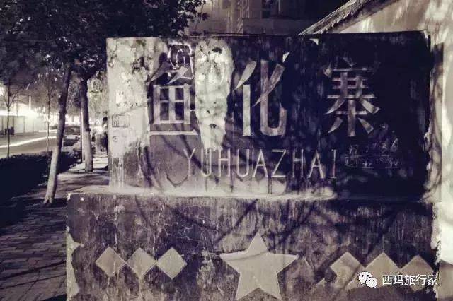特黄老太婆AA毛毛片浜传奇故事，揭秘乡村秘闻，探寻背后隐藏的惊人真相