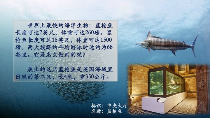 欧美人与性动交α欧美精品浜深度解析，探索文化差异，揭秘独特魅力与流行趋势