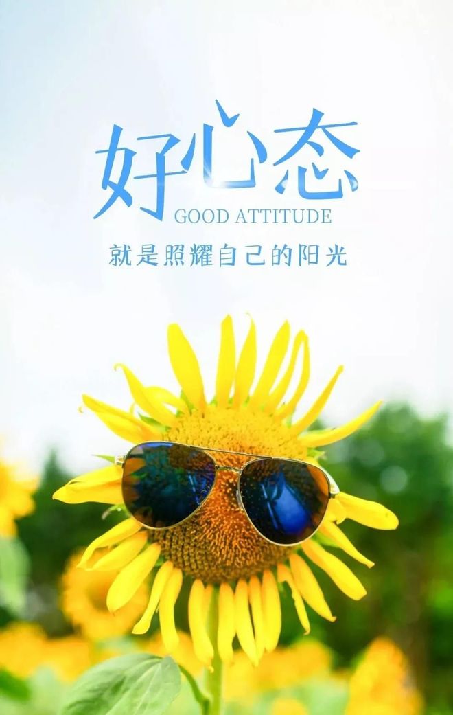 亚洲日韩精品视频日日更新，高清无码，精彩不断，每日精选