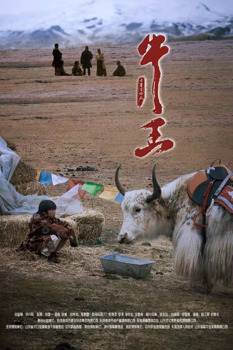 风牛女人与神秘草原传说，探寻古老部落的秘密，揭开自然与女性的神秘联系