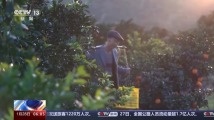亚洲一区精品在线播放尽享高清画质，海量资源随心看，热门影视一网打尽