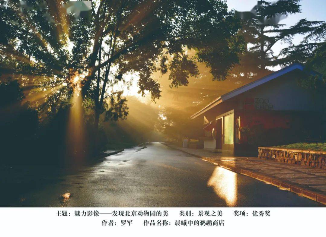 另类视频无码揭秘独特视角，探索未经修饰的真实世界，发现隐藏的视觉魅力