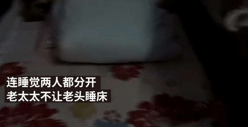 黄色一级毛毛AA看片浜最新资源，高清画质，流畅播放体验
