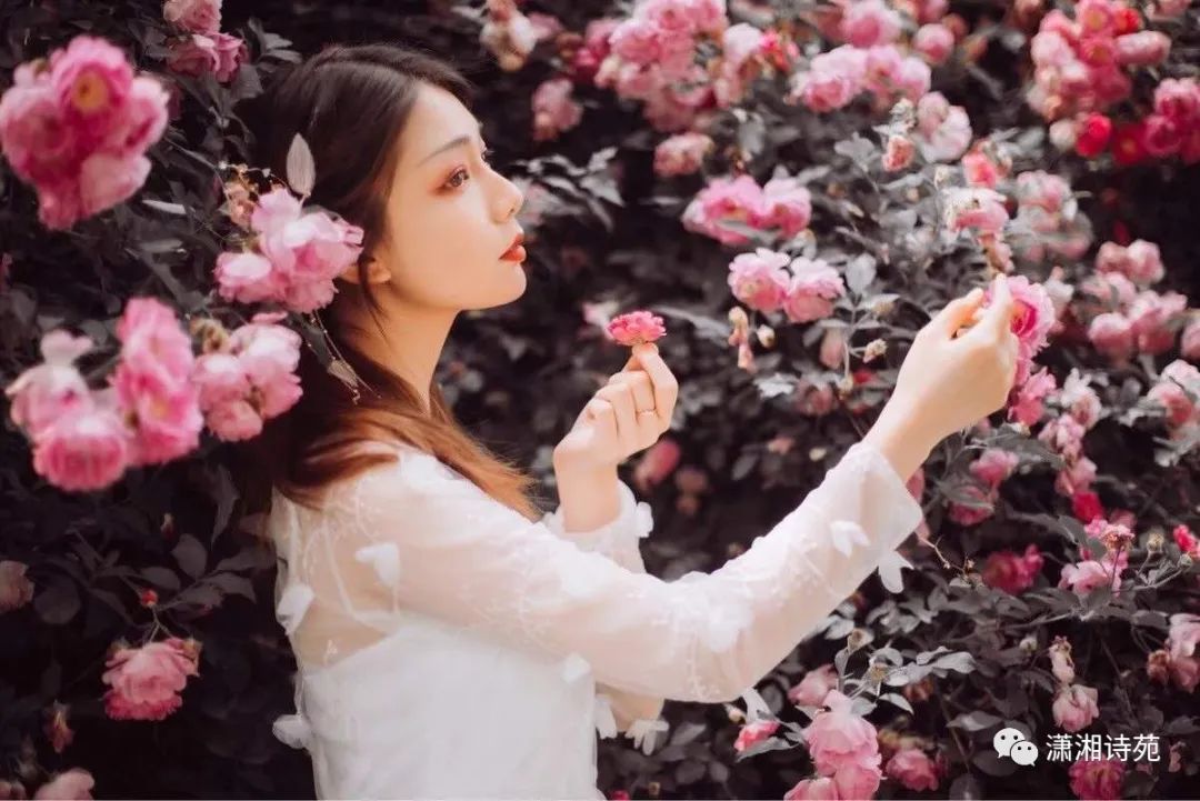 久久婷婷丁香五月天亚洲绽放芬芳，浪漫五月，邂逅亚洲最美花季